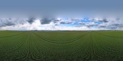 DJI_2889.JPG